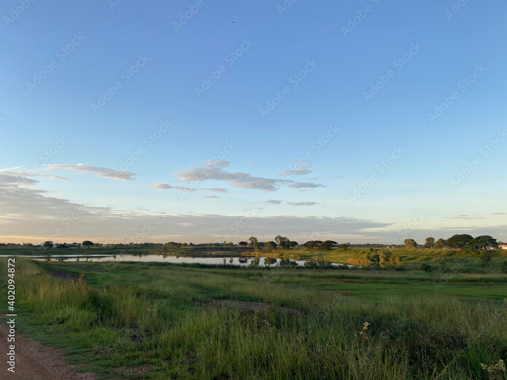 sunset over the river with grass