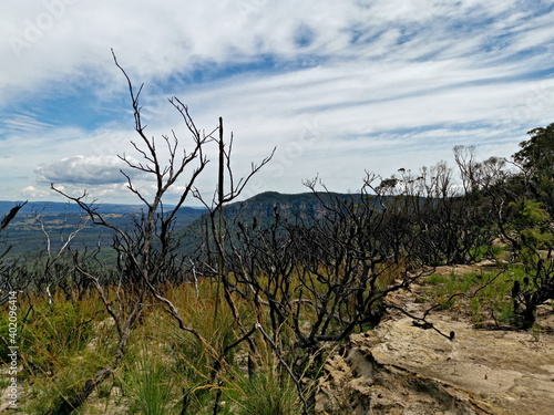 Beautiful view of mountains and valleys with burned out bushes and trees, Narrow Neck Lookout, Blue Mountain National Park, New South Wales, Australia 