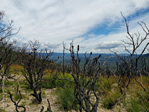 Beautiful view of mountains and valleys with burned out bushes and trees, Narrow Neck Lookout, Blue Mountain National Park, New South Wales, Australia 