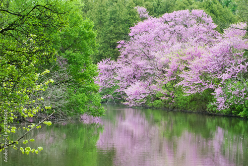 541-14 Spring Color on Lake Marmo
