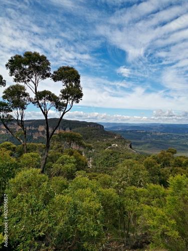 Beautiful view of mountains and valleys, Narrow Neck Lookout, Blue Mountain National Park, New South Wales, Australia  © Ivan