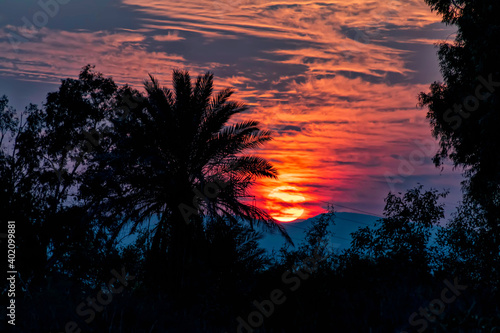 Scenic sunset in the sky with clouds and silhouettes of palm trees