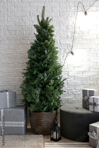 Fototapeta Naklejka Na Ścianę i Meble -  Beautiful Christmas tree with gift boxes in room