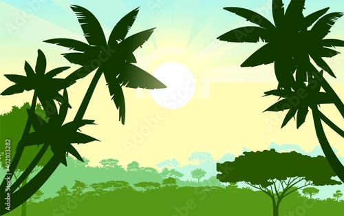 Palm trees. Jungle silhouette. Rainforest. Panoramic landscape. The morning sun is on the horizon. Dense rainforest with exotic trees. Vector