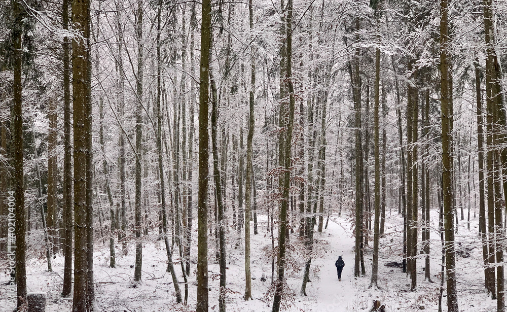 Oberes Donautal im Winter / Bei Beuron