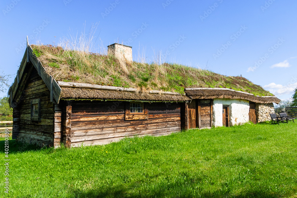 Fototapeta premium Idyllic old log cottage with thatched roof