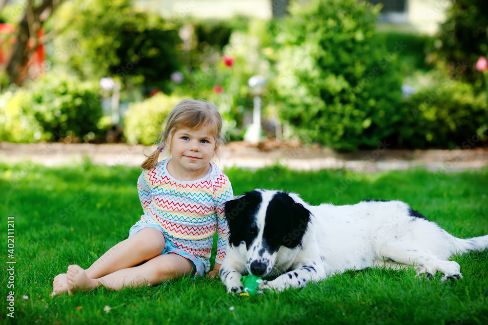 Cute little toddler girl playing with family dog in garden. Happy smiling child having fun with dog, hugging playing with ball. Happy family outdoors. Friendship and love between animal and kids Cute little toddler girl playing with family dog in garden. Happy smiling child having fun with dog, hugging playing with ball. Happy family outdoors. Friendship and love between animal and kids