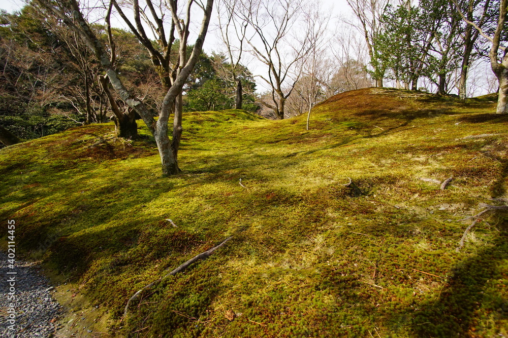 緑色の苔が美しいオリエンタルなデザインの庭