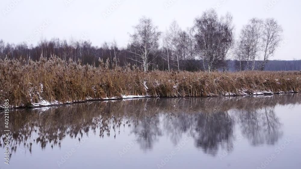 reflection of trees in the water reflection of trees in the water
