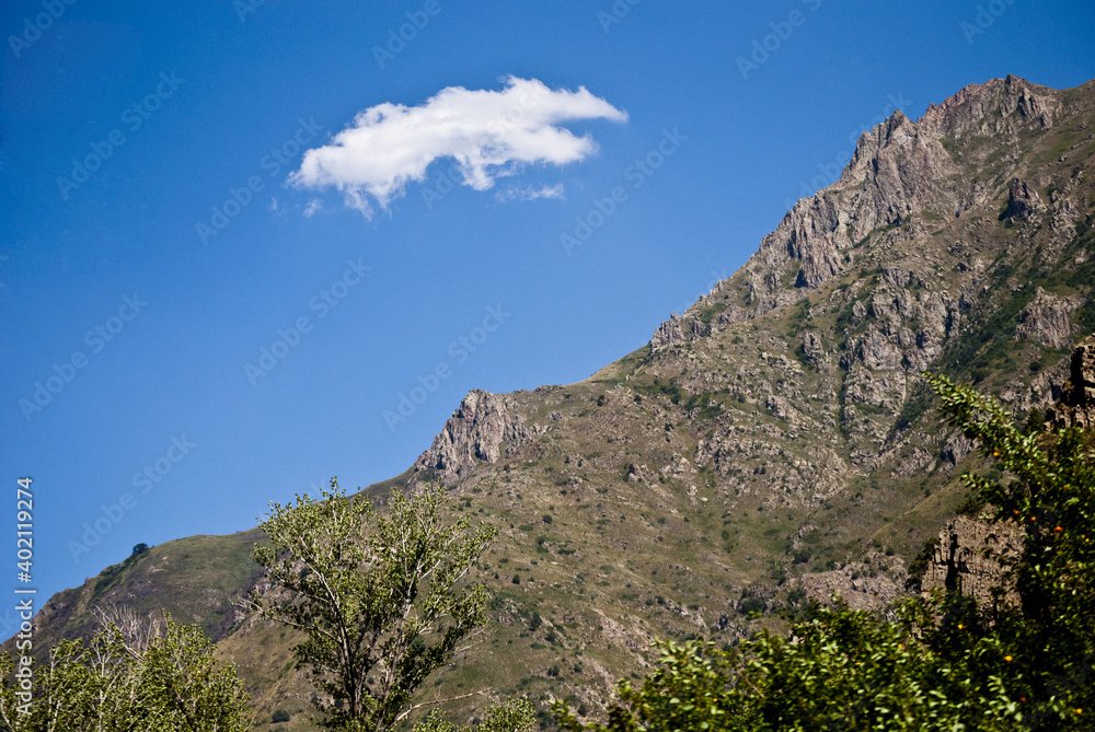 It is a hillside with rocks on it and apple trees and a beautiful cloud floating in the blue sky.
