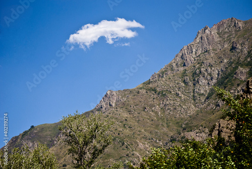 It is a hillside with rocks on it and apple trees and a beautiful cloud floating in the blue sky.