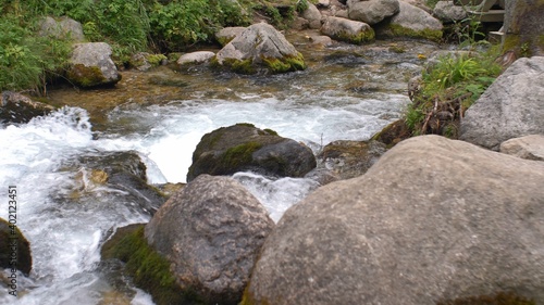 Mountain Forest Creek with Rocks and Stones
