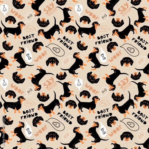 Seamless pattern with dachshund. Vector cute dog dreams of a bone. Hand drawn lettering, text  "woof". Flat cartoon character design