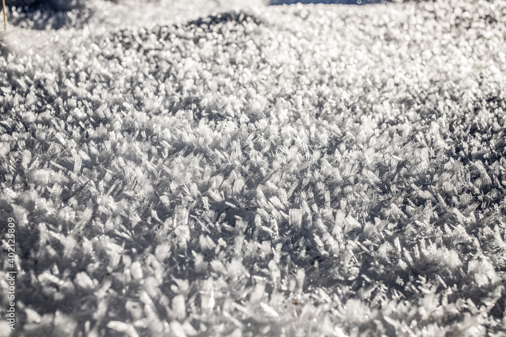 Fototapeta premium fresh snow winter background banner