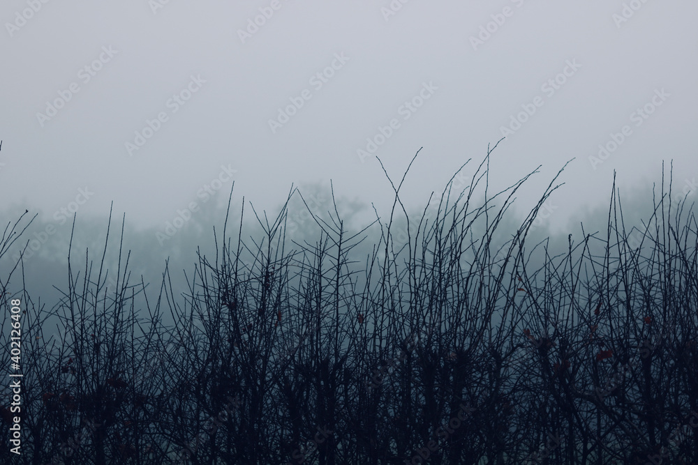 Grey winter morning scene in England with space for copy