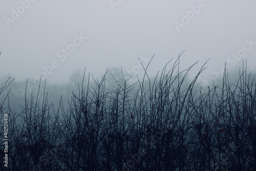 Grey winter morning scene in England with space for copy