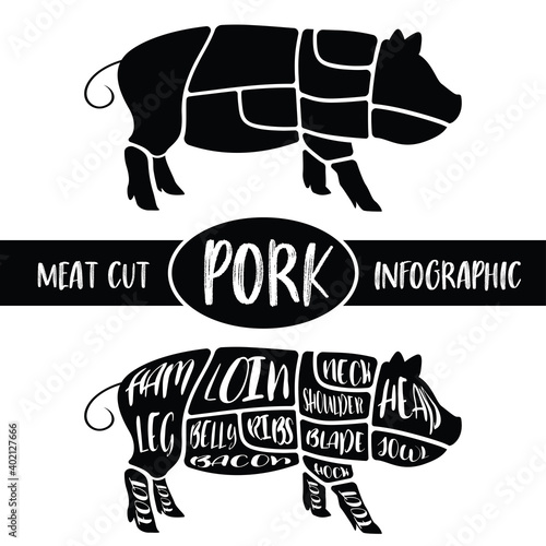 Meat cut infographic , Pig pork parts graphic , print for sign wallpaper symbol badge label shirt others , vector illustration