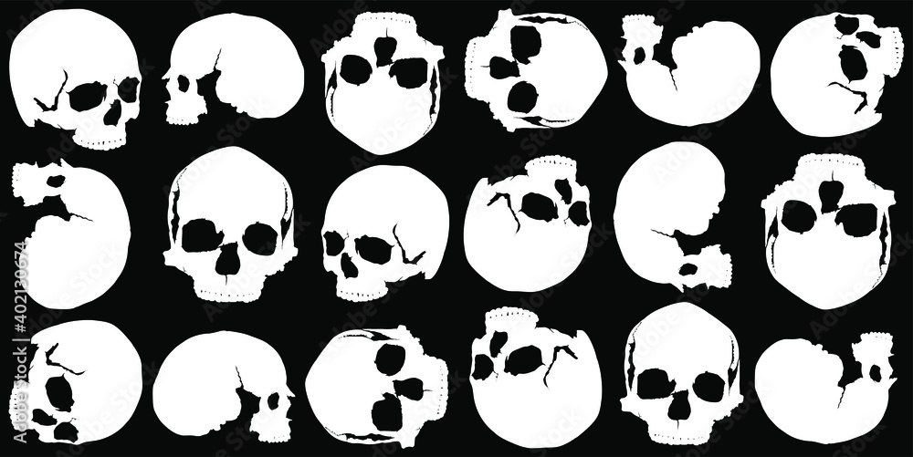 black background of white skulls in several different positions black background of white skulls in several different positions