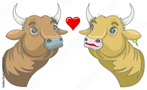 Saint-Valentin : Taureau et vache © LôThus