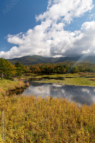 北海道 知床国立公園 知床五湖