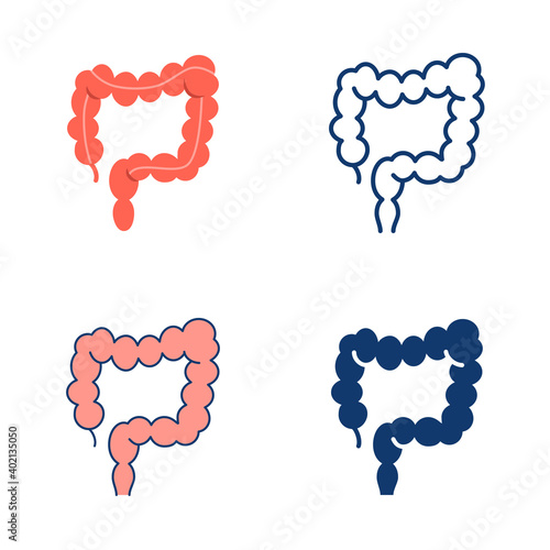 Large intestine icon set in flat and line style