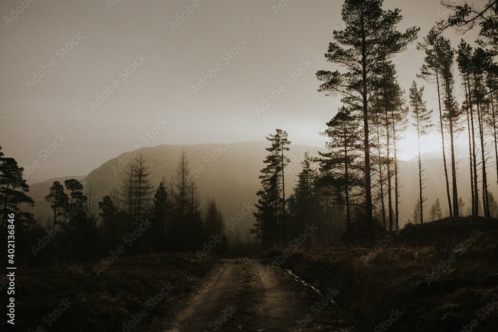 Obraz premium sunrise in the mountains