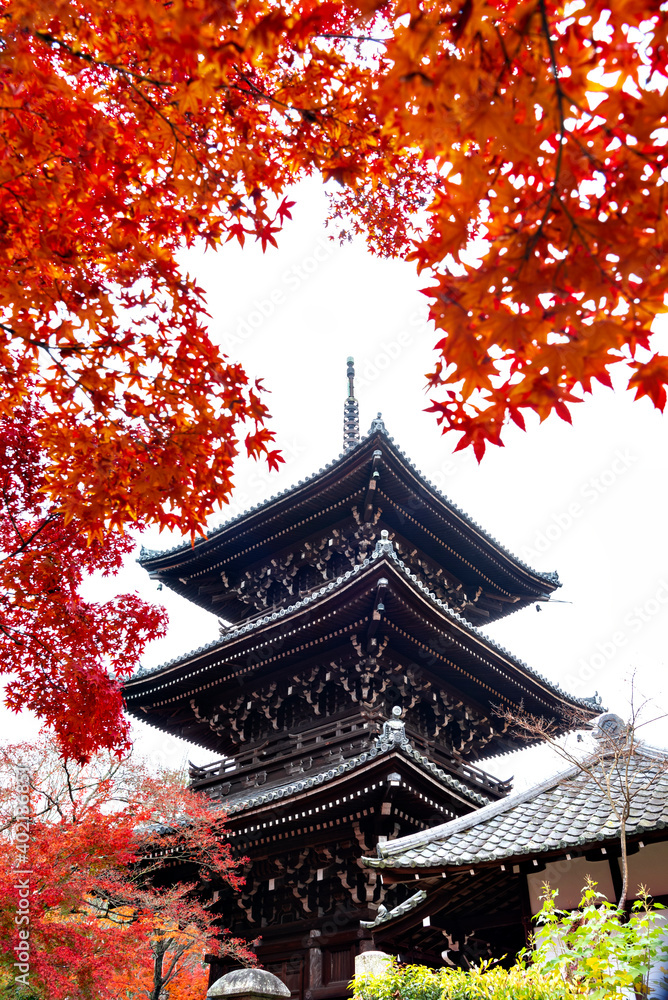Three Storeys Pagoda of Shinnyodo Temple with Red Maple Leaves in Autumn, Kyoto, Japan Three Storeys Pagoda of Shinnyodo Temple with Red Maple Leaves in Autumn, Kyoto, Japan