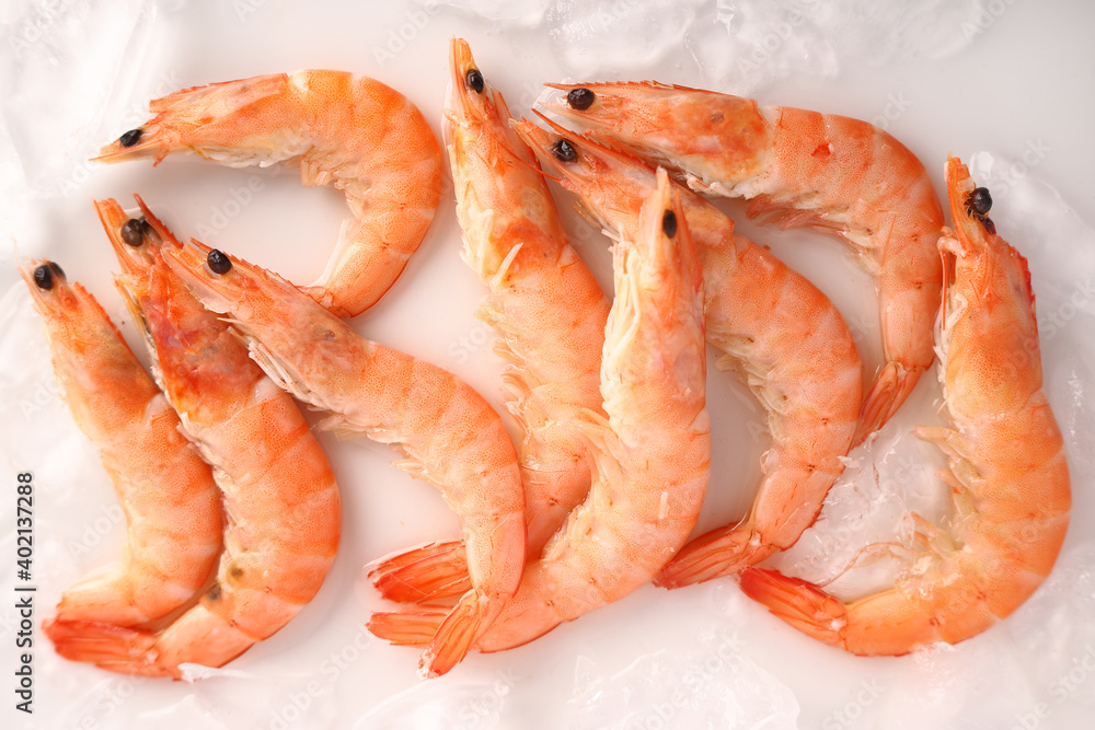 Big orange shrimps on ice white background. Flat lay.
