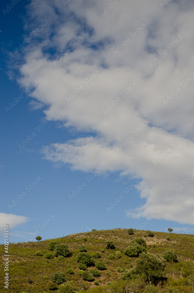 Landscape in the Monfrague National Park. Caceres. Extremadura. Spain. Landscape in the Monfrague National Park. Caceres. Extremadura. Spain.