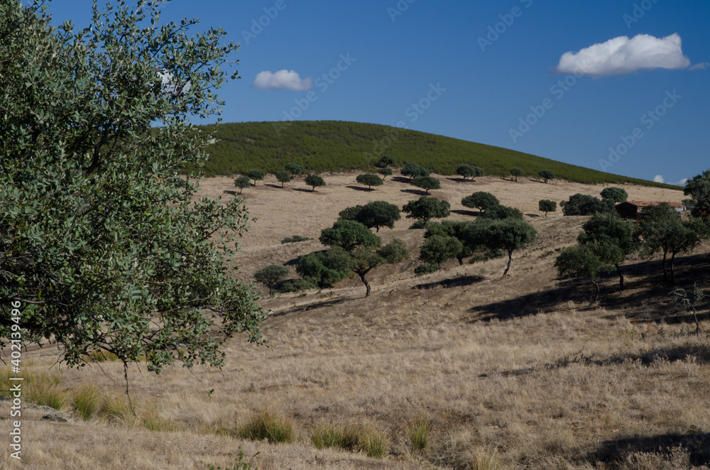 Landscape in the Monfrague National Park. Caceres. Extremadura. Spain.