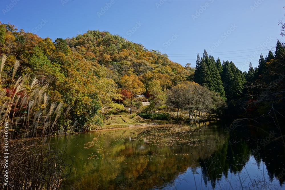 Kotakiike, Kotaki Pond, with beautiful autumn foliage at Kototaki Park in Tamba city, Kyoto, Japan - 京都府 京丹波町 琴滝公園の小瀧池 秋の田園風景