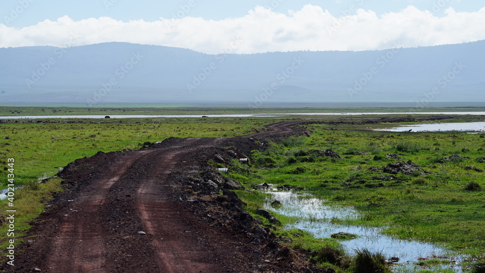 Fototapeta premium Ngorongoro Crater 