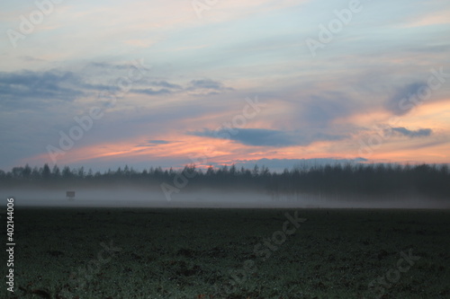 Landscape in the evening with fog and sunset