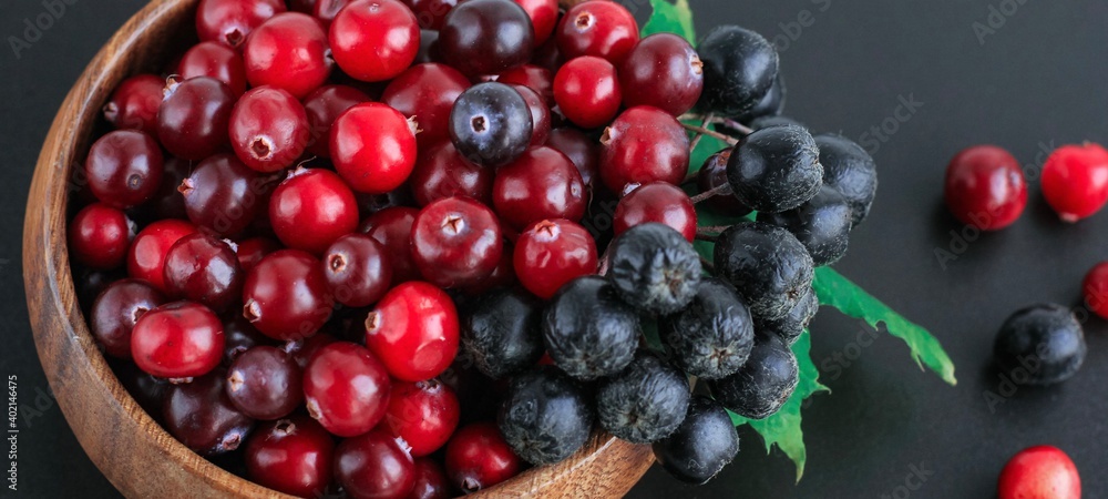 Cranberries and chokeberry in wooden bowl on black background. Nature, autumn, crop, food, berry banner. Cranberries and chokeberry in wooden bowl on black background. Nature, autumn, crop, food, berry banner.