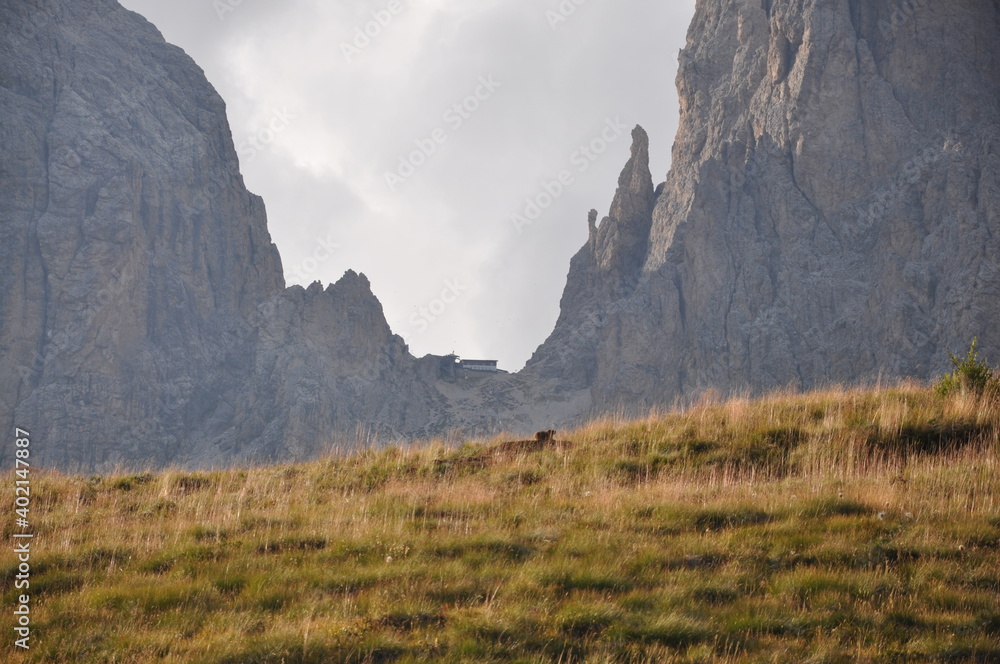 Widok na eksponowaną grań z górskiej łąki, Dolomity
