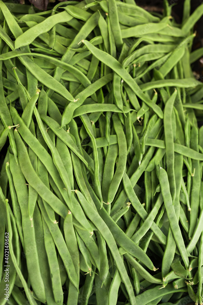 green romano beans on the counter in the market green romano beans on the counter in the market