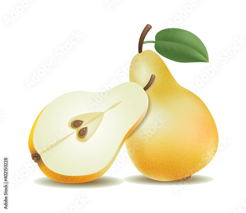 Yellow pears with green leaf and half pear. Vector mesh illustration, isolated on white.