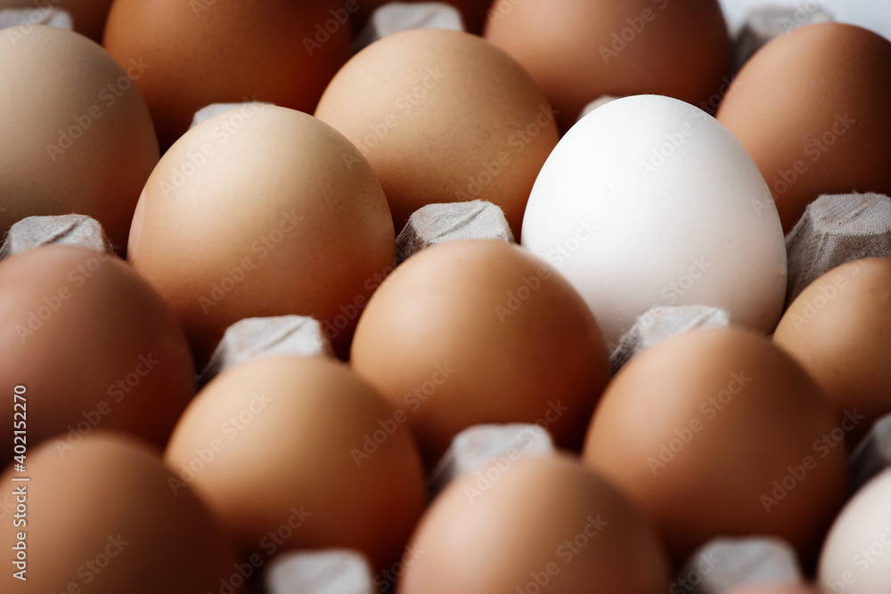 A white chicken egg among many yellow eggs lies on a cardboard box. A special egg, different from the others.