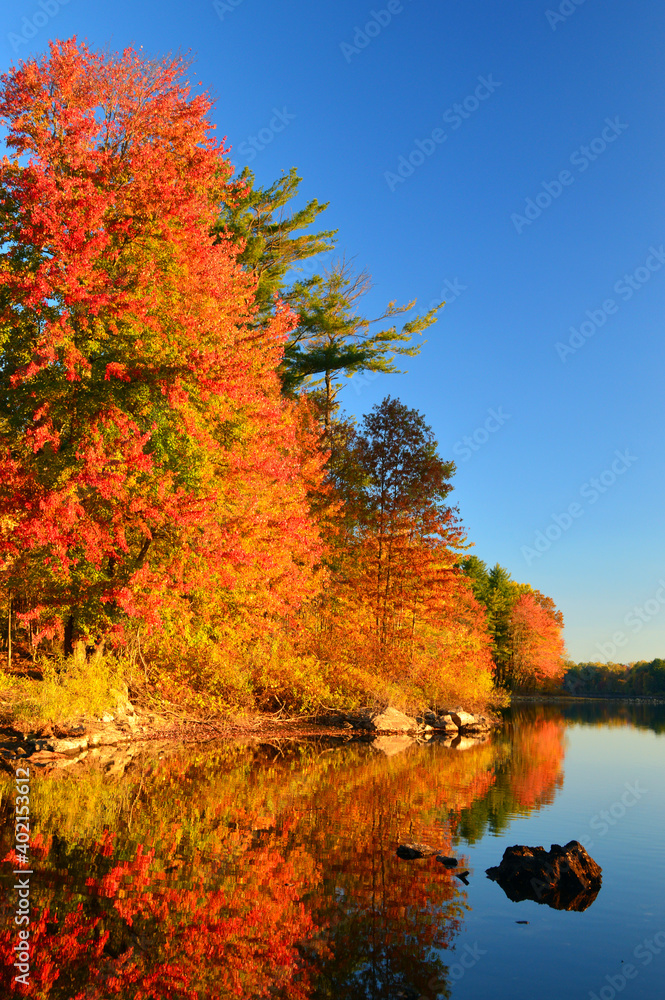 Autumn Reflections on a still lake in New England