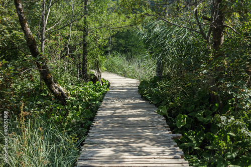 Wooden pathway in Plitvice lakes national park. © staclu