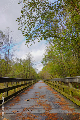 A wooden pedestrian bridge runs over a creek surrounded by trees on the Neuse River greenway in Raleigh, North Carolina, USA