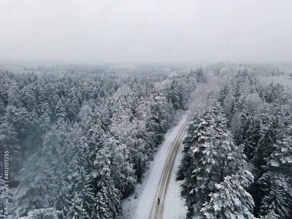 Winter Forest aerial view. Snow covered Winter landscape. Spruce forest European Green Deal. Top down birds eye view. Climate neutral global warming. Latvia landscape. Winter background Winter Forest aerial view. Snow covered Winter landscape. Spruce forest European Green Deal. Top down birds eye view. Climate neutral global warming. Latvia landscape. Winter background