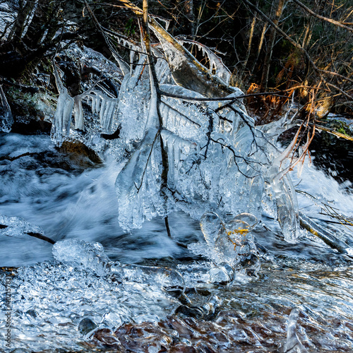 Naturaleza congelada en Canencia Sierra de Madrid © JHG