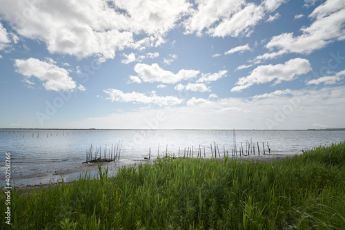 Lagoon           Seascape