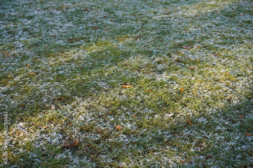 Grüne Grasfläche mit leichter Schneedecke, Sonnenstrahlen und Schatten