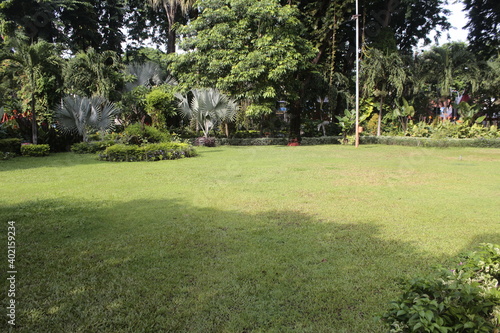 lawn in the park