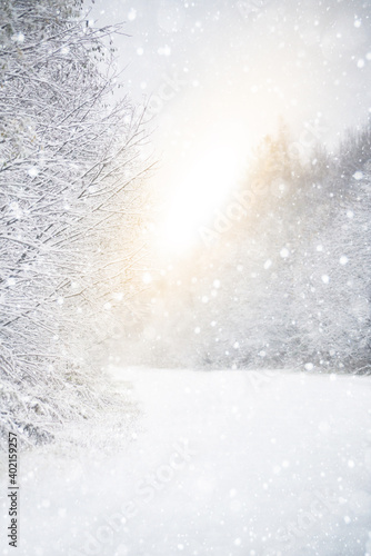 Defocus winter background. Snow on forest background. © scharfsinn86