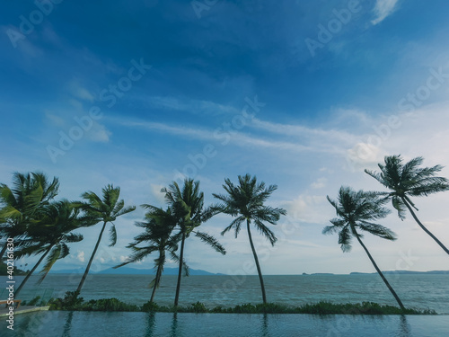Wide angle of row of palms tree at the tropical beach