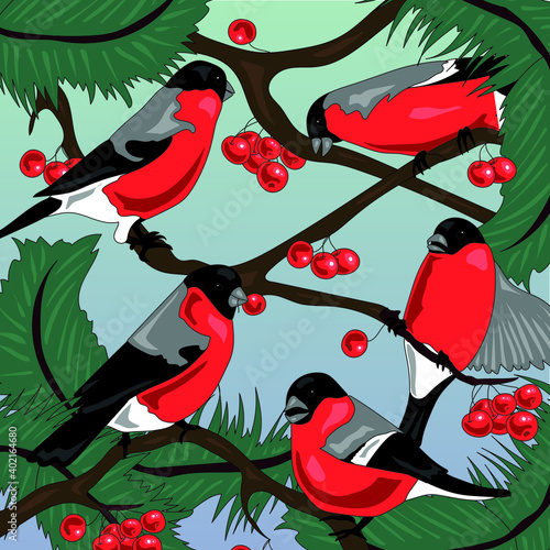 red bullfinches in nature illustration