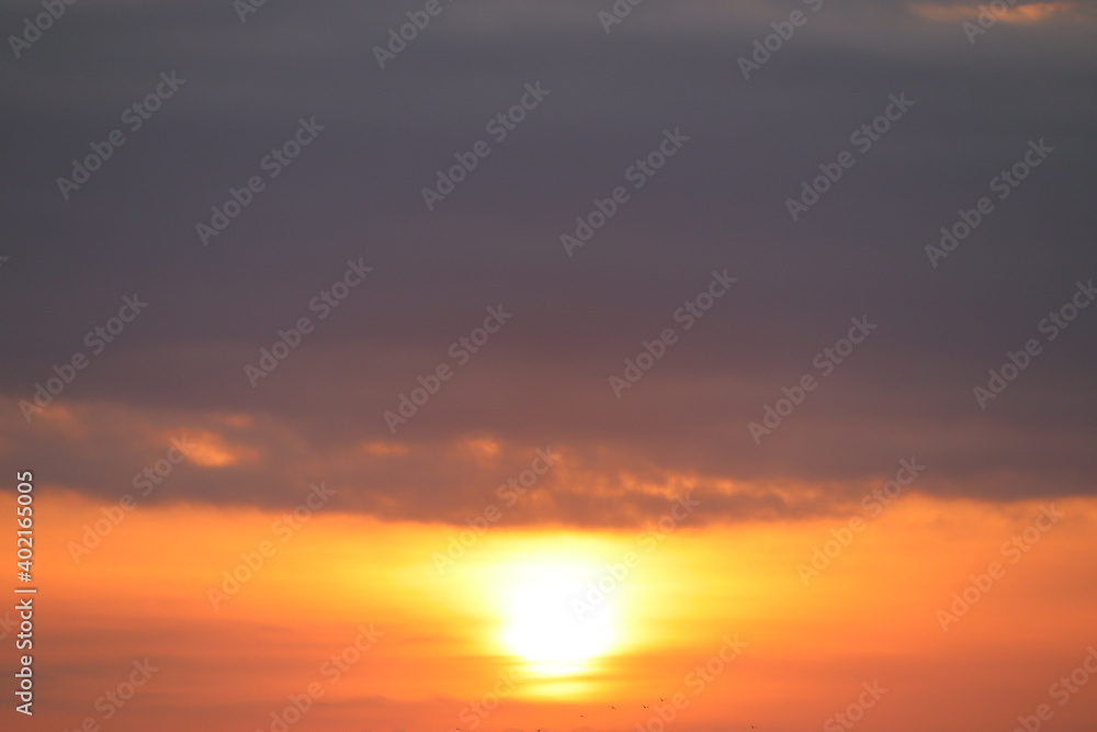 伊良湖岬から見るの迫力ある絶景　日の出